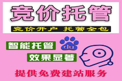 案例分享：竞价托管助力企业广告投放优化